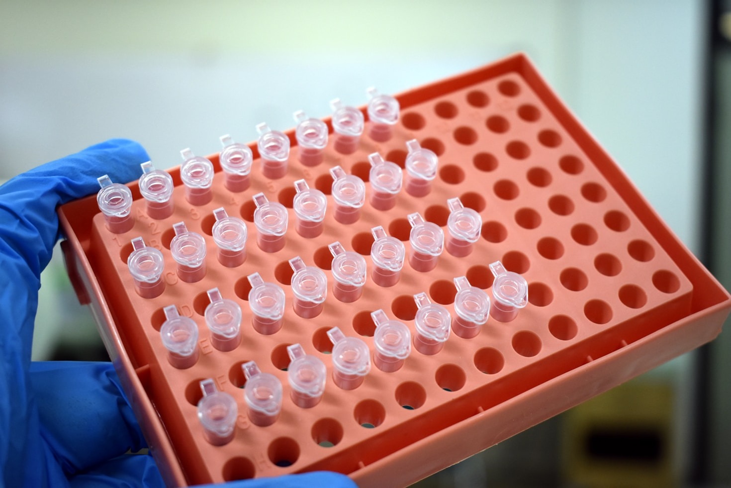 How Evidence-Based Medicine Shapes Patient Outcomes