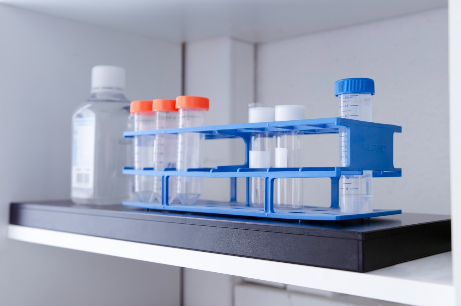 Exploring the Latest Trends in Healthcare Innovation